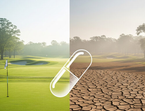 Hydration for Golfers: The Back Nine Fix You Need